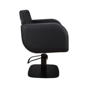 Friseurstuhl Friseureinrichtung